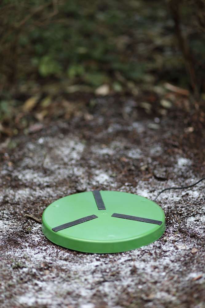 Heating plate for poultry drinkers