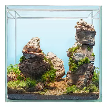 sera-scaper-cube-64l-1 sera Scaper Cube 64l