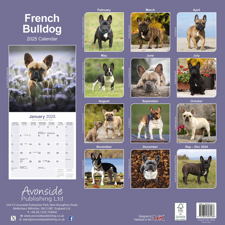 Calendrier 2025 Bouledogue français Calendrier 2025 Bouledogue français
