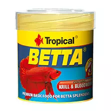 Tropical Betta