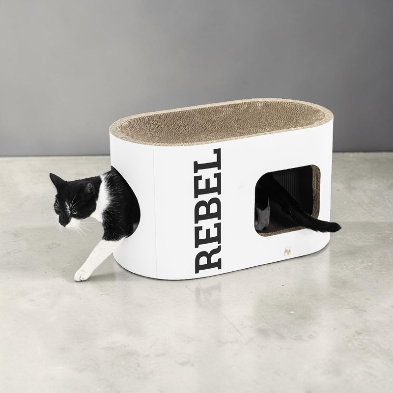 Gatto bianco e nero che guarda fuori da una casetta ovale bianca con un tiragraffi sulla parte superiore. Sono visibili la testa e le zampe anteriori. Sul lato è scritto "REBEL". Dall'altra parte si vede la sua coda nera che scompare nell'ingresso.
