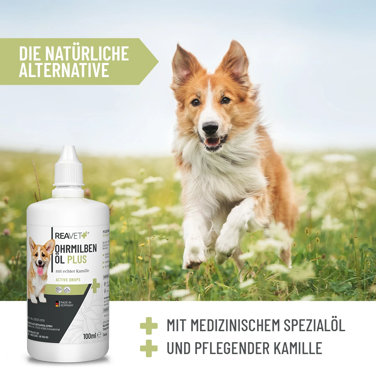 Weiße Reavet Ohrmilben Öl Plus-Flasche mit Corgi-Etikett auf grünem Gras. Fröhlicher braun-weißer Hund springt durch helle, blühende Wiese. Oben: „Die natürliche Alternative“. Unten: „Spezialöl und Kamille“.