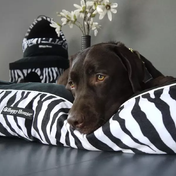 Blockpillow Wildlife