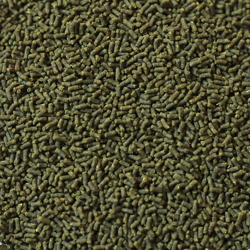 Nahaufnahme von DuplaRin Garnelen Snack, kleine, dunkle Futterpellets dicht an dicht.