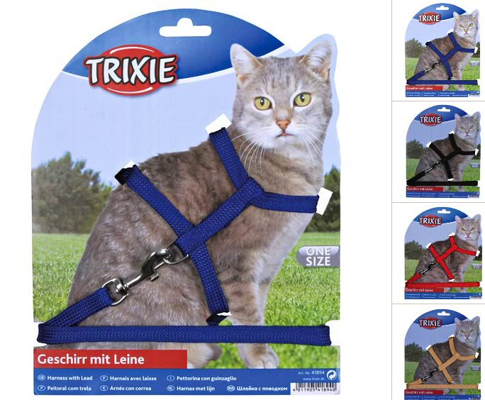 Cat harness with lead, nylon
