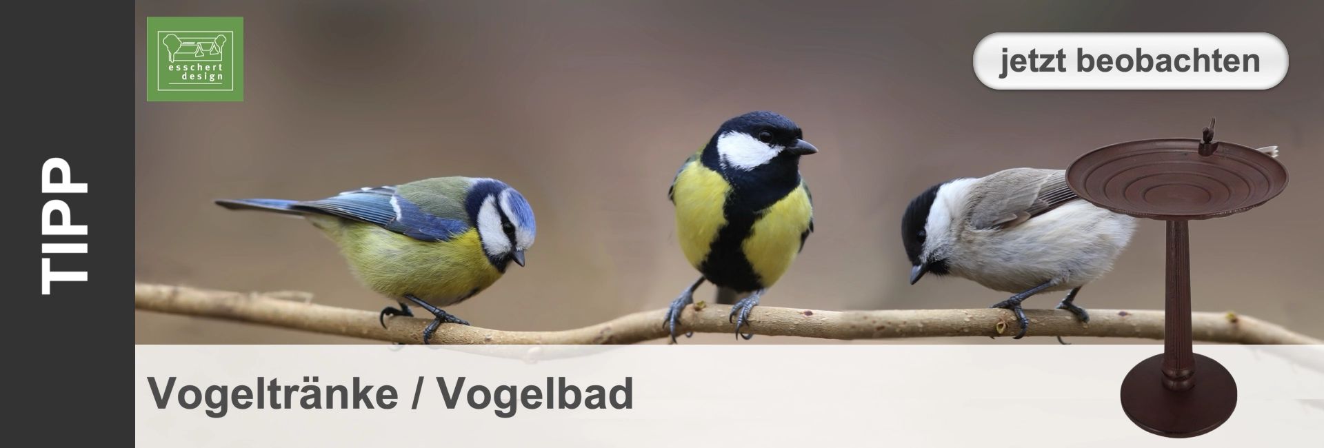 promo-eschert-vogelbad-de