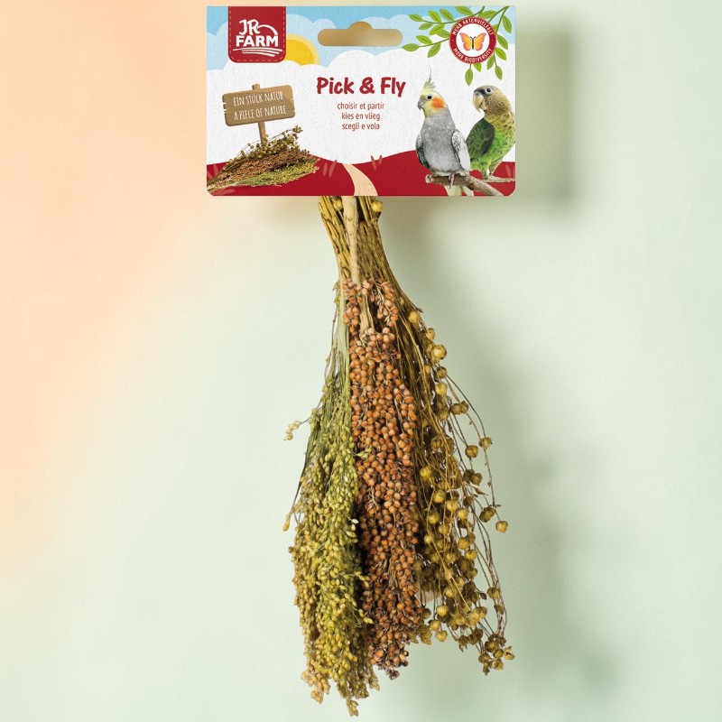A bundle of dried millet panicles and other grain spikes hangs on a light green wall. The panicles show varying ripeness and colours, from greenish to reddish-brown to yellowish. At the top is a label with a parrot motif, ‘Pick & Fly’.