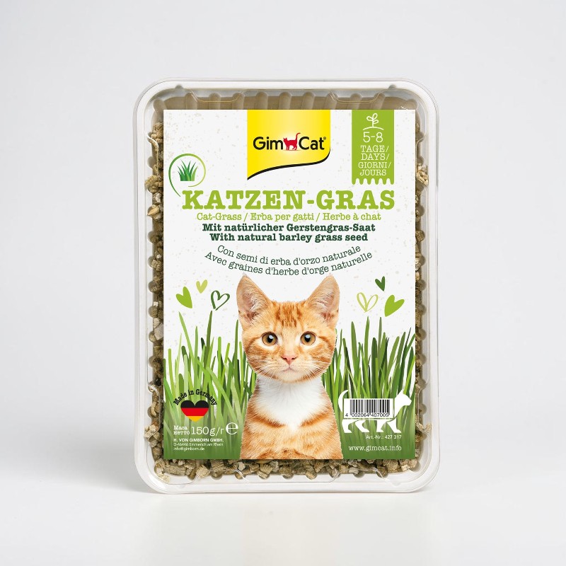 Contenitore in plastica bianco con semi di erba d'orzo. Etichetta: logo GimCat, "ERBA PER GATTI", illustrazione di un gattino, fili d'erba, "Con semi naturali di erba d'orzo", "Made in Germany".