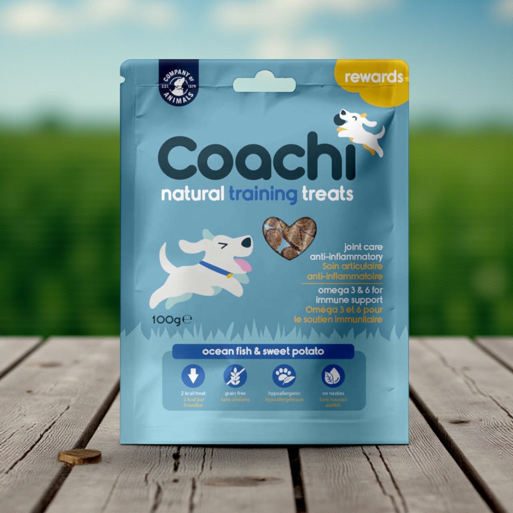 coachi-treats-ocean-7