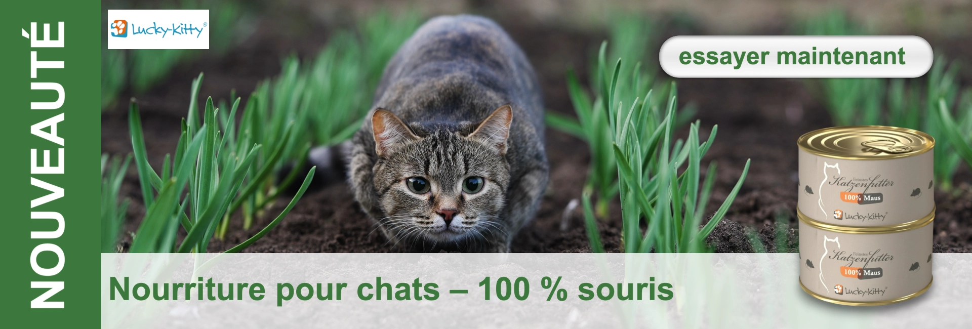 Un chat tigré est à l'affût parmi des plantes vertes ; à côté, des boîtes de nourriture pour chats avec l'inscription "100% souris".