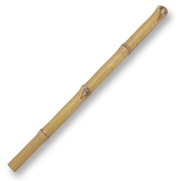 Lucky Repitle tube de bambou 1m