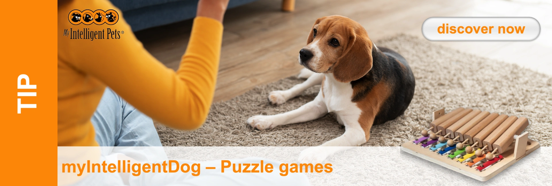 Beagle lying on carpet next to wooden toy, person in yellow top in the background.
