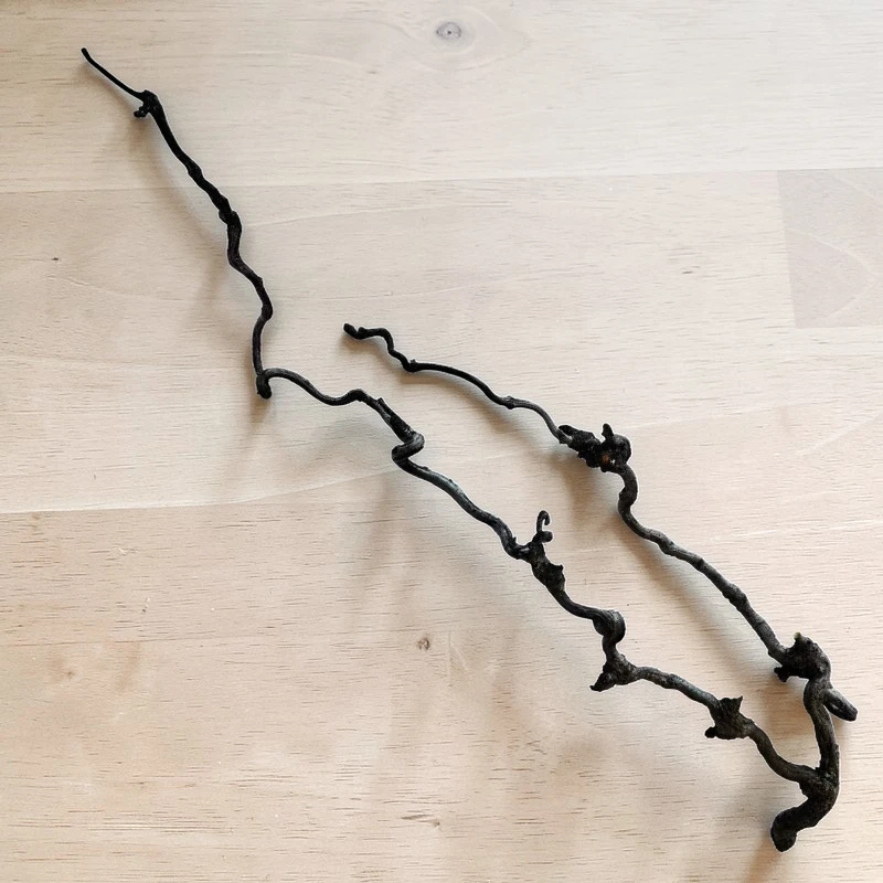Two dark, heavily branched grapevine branches lie on a light-coloured wooden floor. The branches are curved and have many small branches. The natural structure of the branches is clearly recognisable and each branch is unique.