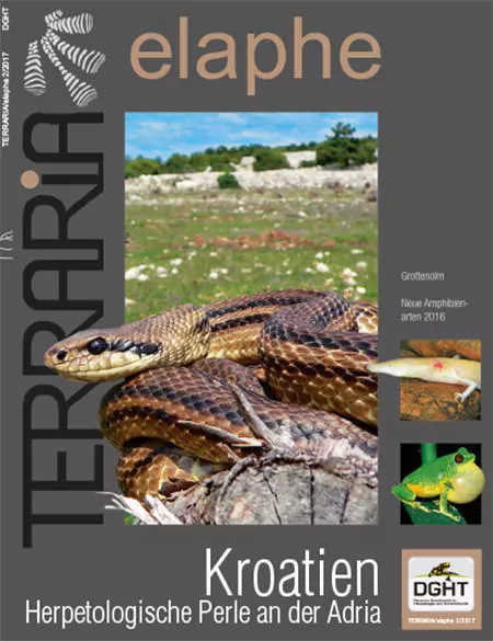 Terraria 64 - Kroatien