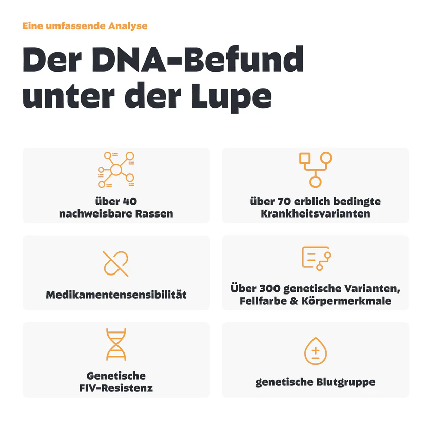 DNA-Test Rassenbestimmung für Katzen