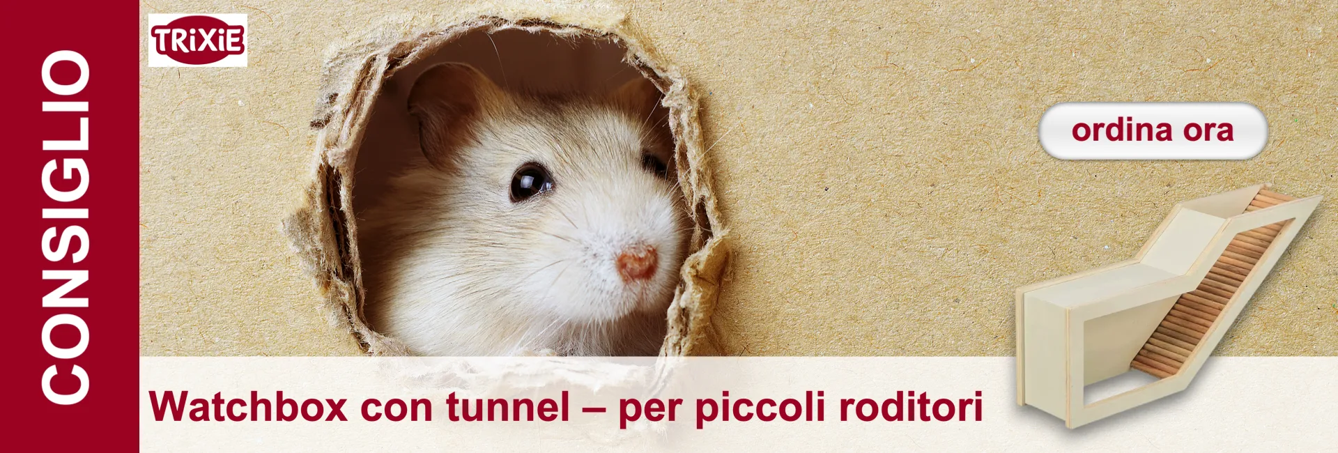 Un criceto marrone chiaro con occhi scuri e naso rosa sbircia incuriosito da un foro in un tunnel di cartone marrone. La testa e parte del corpo sono visibili, come se stesse esplorando la struttura del cartone o nascondendosi al suo interno.