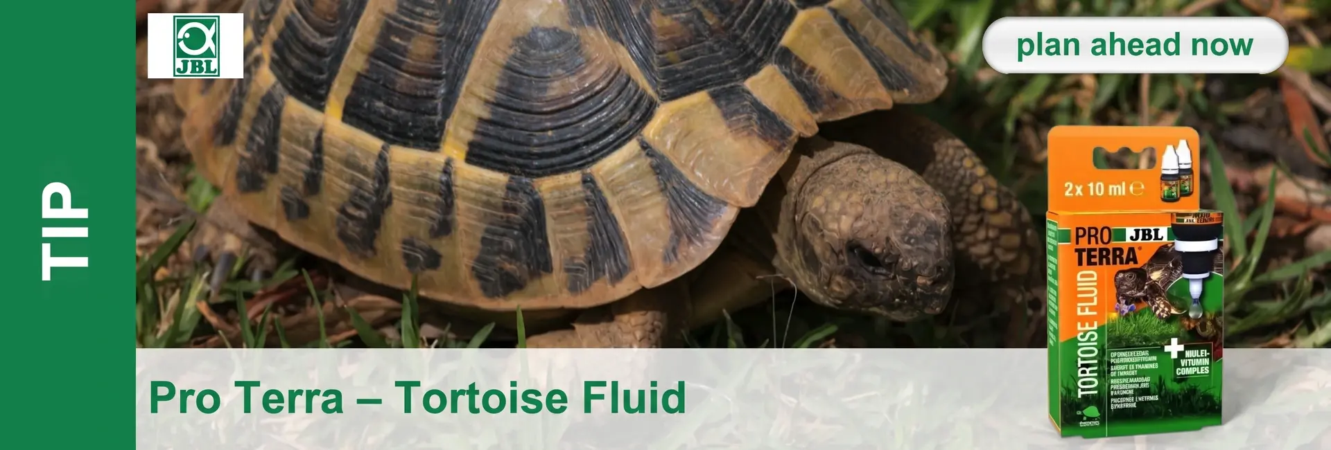 A brown and black-patterned tortoise is crawling across green grass and dry leaves. In the foreground on the right is an orange and green JBL ProTerra Tortoise Fluid pack containing a bottle and dropper, a multivitamin complex.
