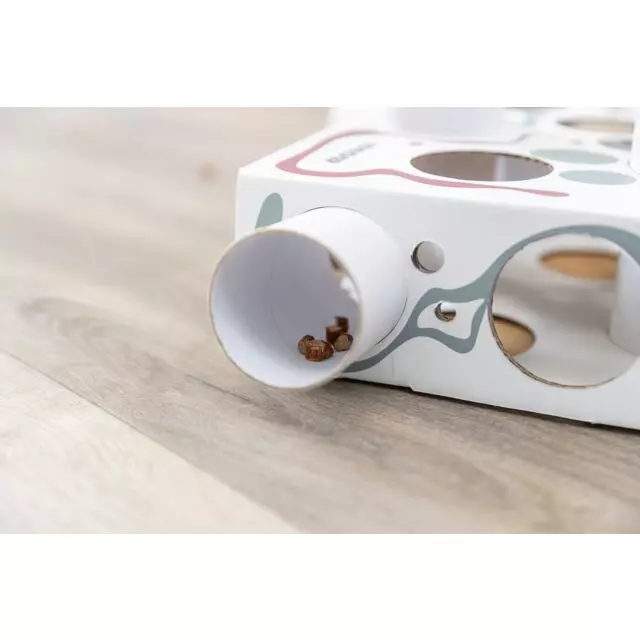 Cat Activity Paws 'n'Treat Box