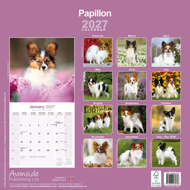Kalender 2027 Papillon