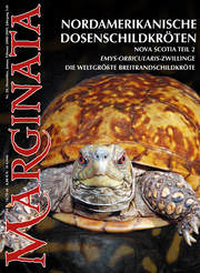 Marginata Nr. 20, Nordamerikanische Dosenschildkröten