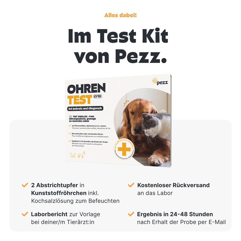 Ohrentest für Hunde und Katzen
