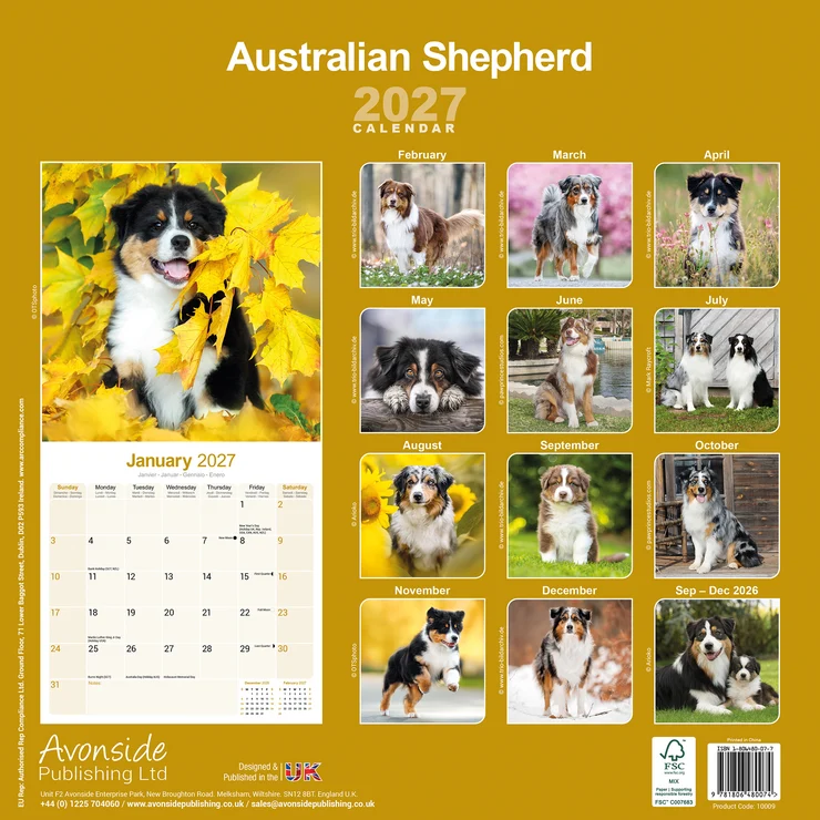 Kalender 2027 Australian Shepherd - Aussie