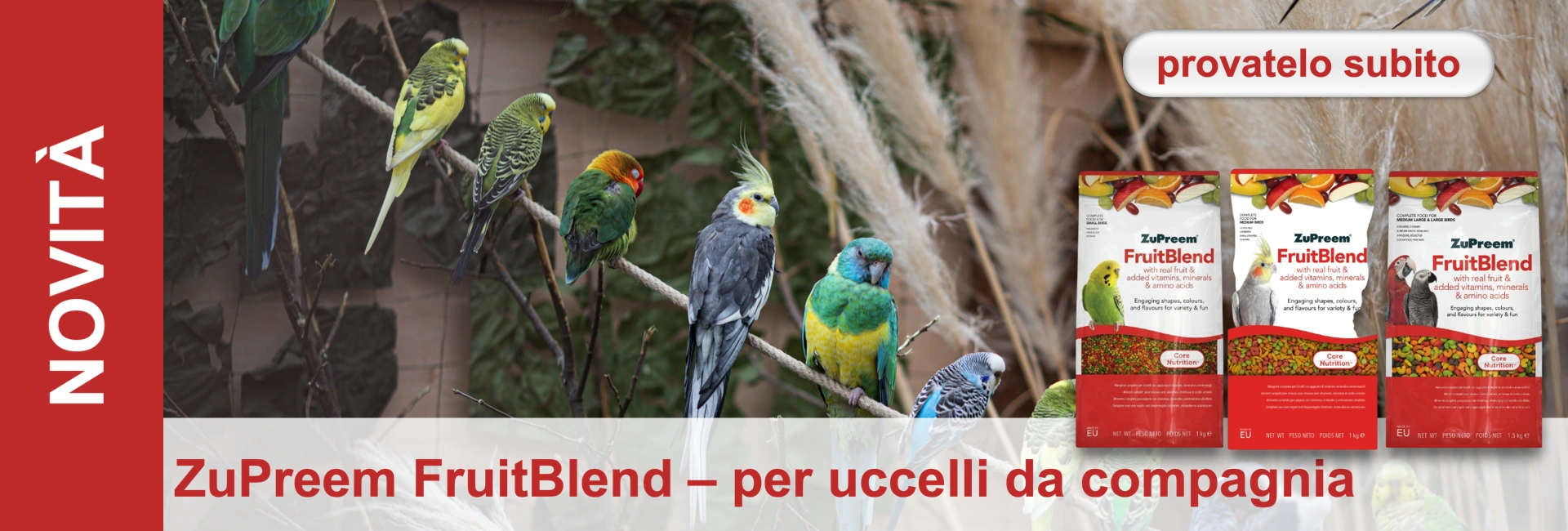 Pappagalli e parrocchetti dai colori vivaci appollaiati sui rami. A destra, tre confezioni di mangime per uccelli ZuPreem FruitBlend per uccelli di diverse dimensioni. Testi: "NOVITÀ", "provatelo subito" e "ZuPreem FruitBlend – per uccelli da compagnia".