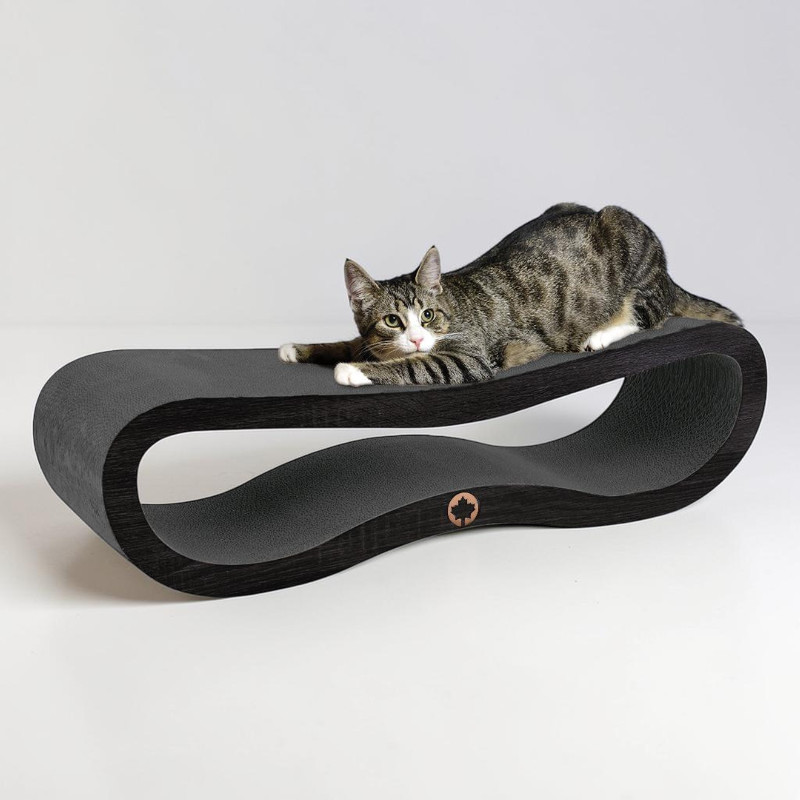 Kratzbrett Orbit 2.0 Black Edition