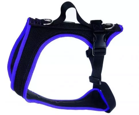 grossenbacher-blau Grossenbacher Hundegeschirr blau