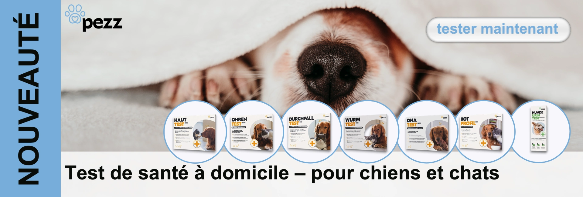 Chien sous couverture, entouré de tests de santé pezz pour la peau, les oreilles, la diarrhée, les vers, l'ADN, le profil fécal et l'urine.