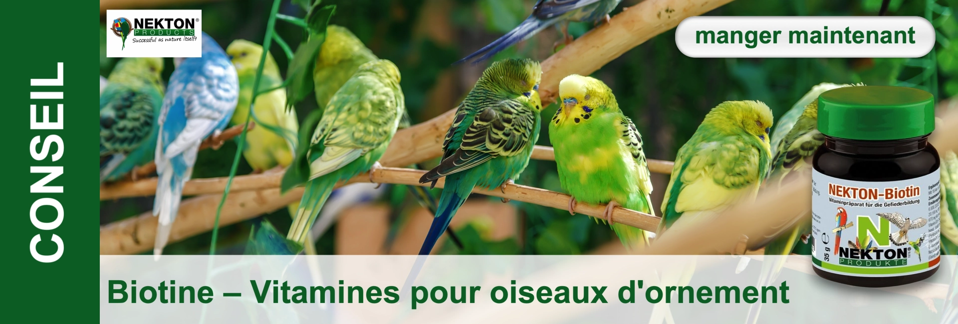 Plusieurs perruches vertes ainsi qu’une bleue et blanche sont perchées sur des branches dans la nature. À droite, un flacon en verre foncé à bouchon vert, « Nekton-Biotin », complément vitaminique pour le plumage.