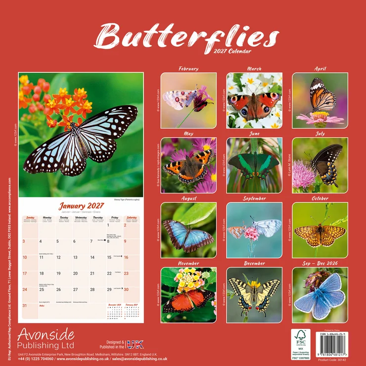 Kalender 2027 Schmetterlinge - Butterflies