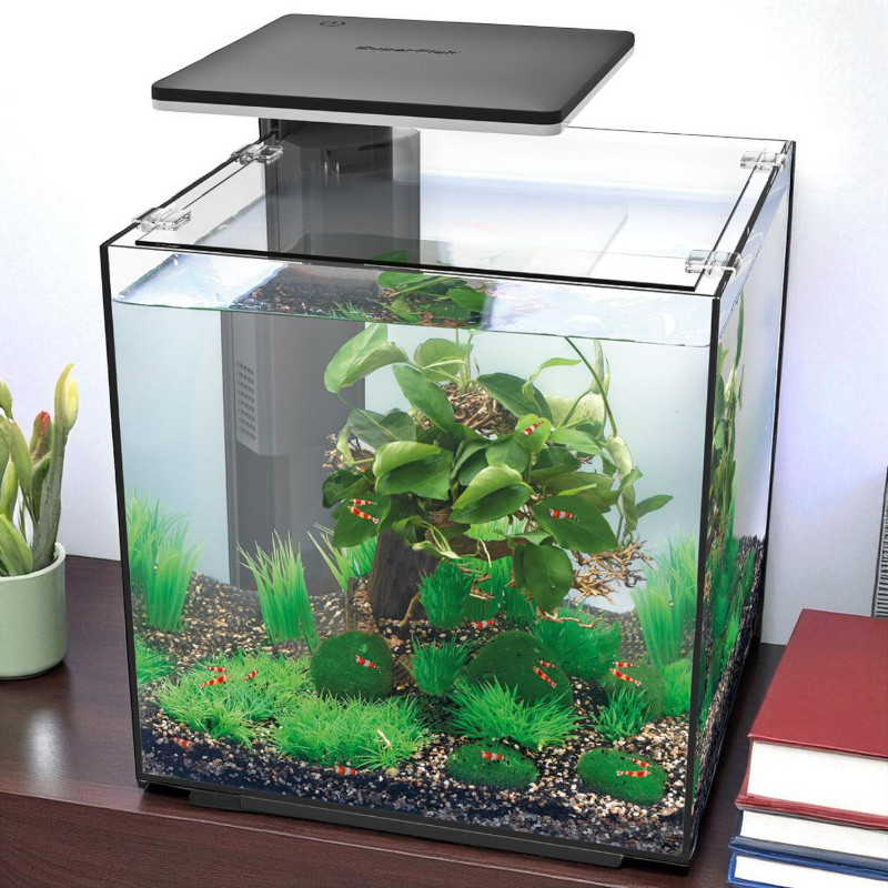 Superfish Qubiq 30 Pro Schwarz 