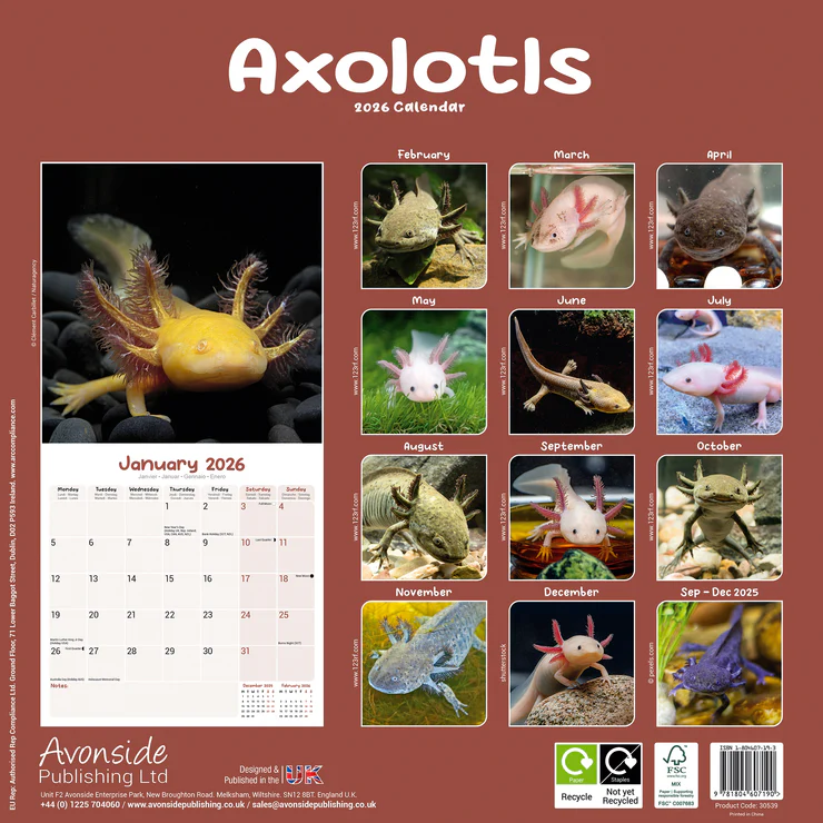 Calendar 2025 Axolotls