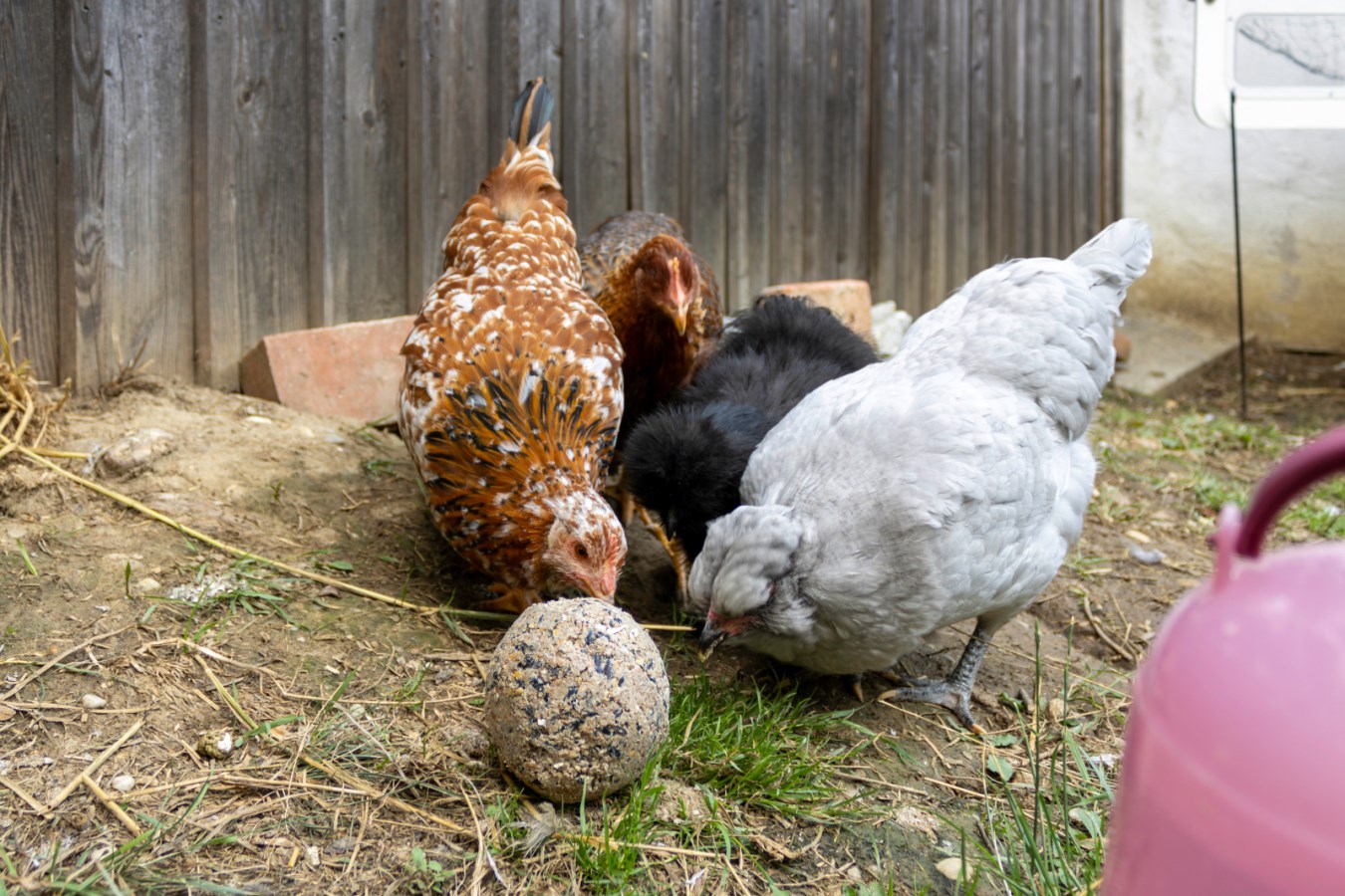 Pick ball - 6 pieces