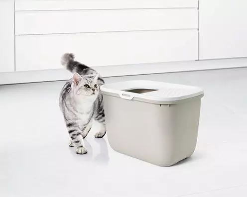 katzenklo-hop-in-1 Katzentoilette Hop in