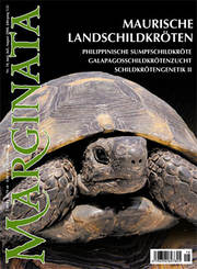 Marginata Nr. 18, Maurische Landschildkröten