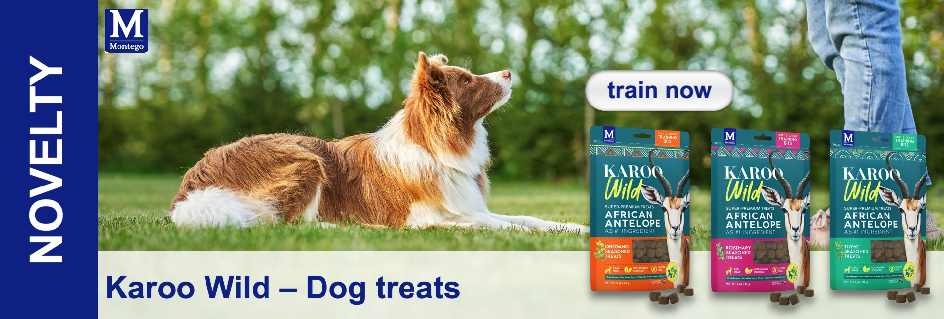 A brown and white dog on the grass is looking up. On the right are three packets of Karoo Wild dog treats (antelope) and loose snacks. Jeans legs, a ‘train now’ button and a ‘NOVELTY’ banner are visible.