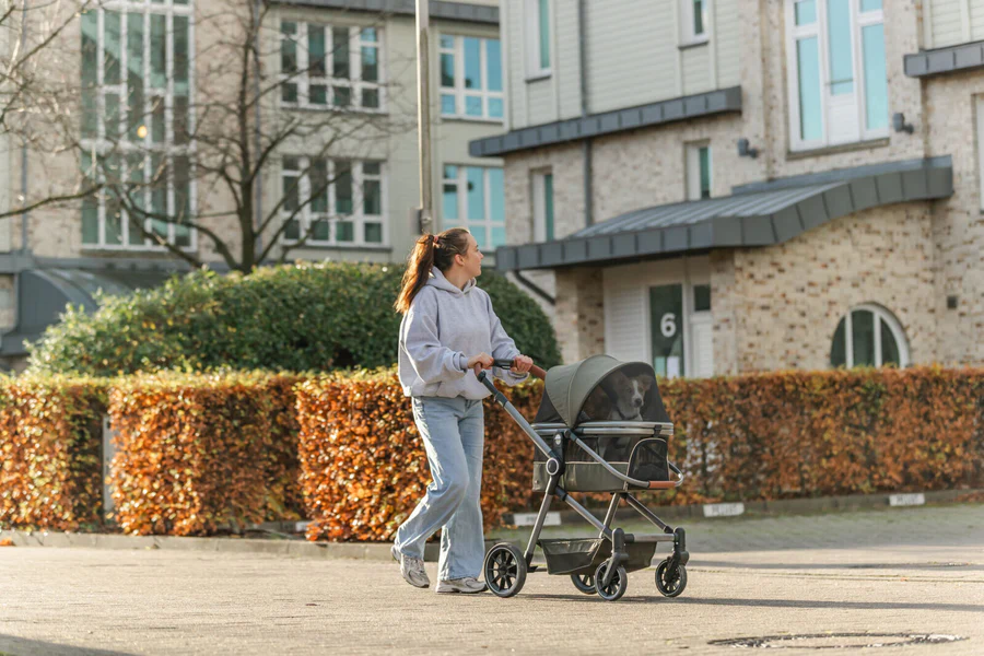 Buggy für Hunde - olivgrün - bis 22kg