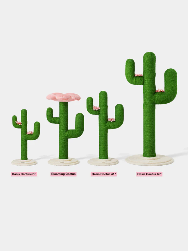 vetreska-cactus-kratzbaum vetreska-cactus-kratzbaum