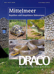 Draco 42 - Mittelmeer