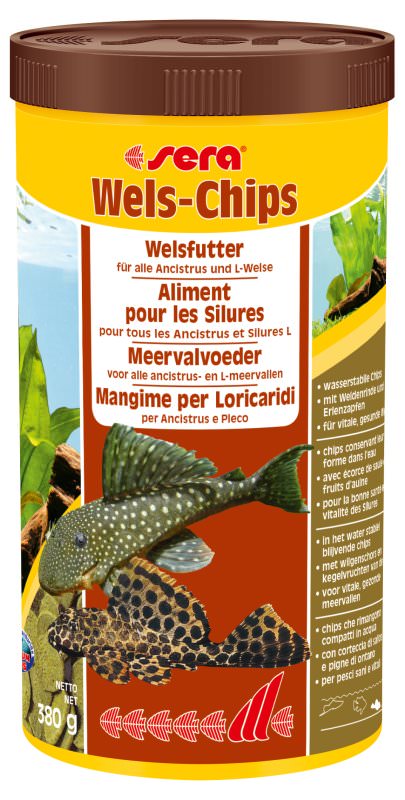 Wels-Chips nature