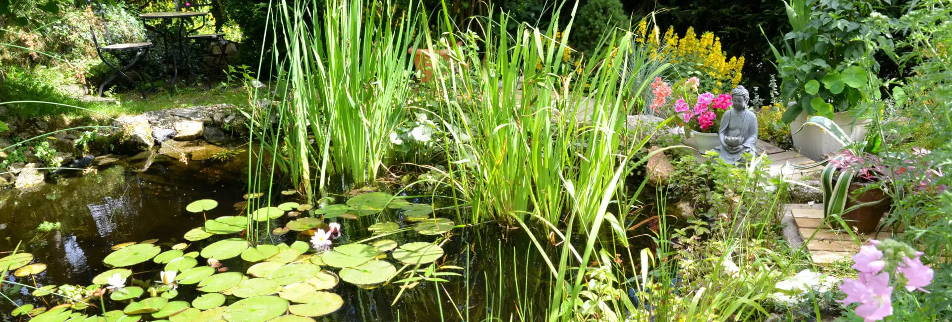 Gartenteich Gartenteich