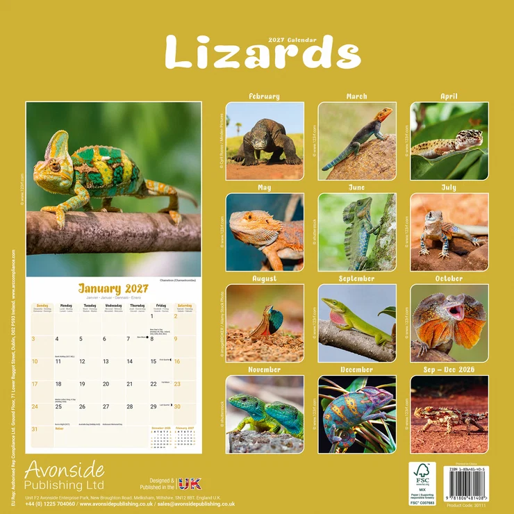 Kalender 2027 Echsen - Lizards