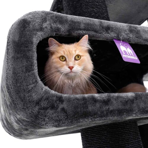 Un gatto dal pelo lungo color arancione chiaro con occhi giallo brillante guarda dritto davanti a sé da un nascondiglio di un tiragraffi di peluche grigio scuro. Si vedono la testa e la parte superiore del corpo mentre è seduto nella comoda tana.