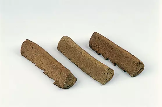 Riesenbisquit