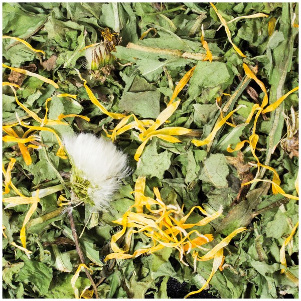 A close-up of a mixture of dried green herbs and yellow petals. A large, white, fluffy dandelion seed head dominates the centre. Further dried leaves and flowers can be seen in the background.