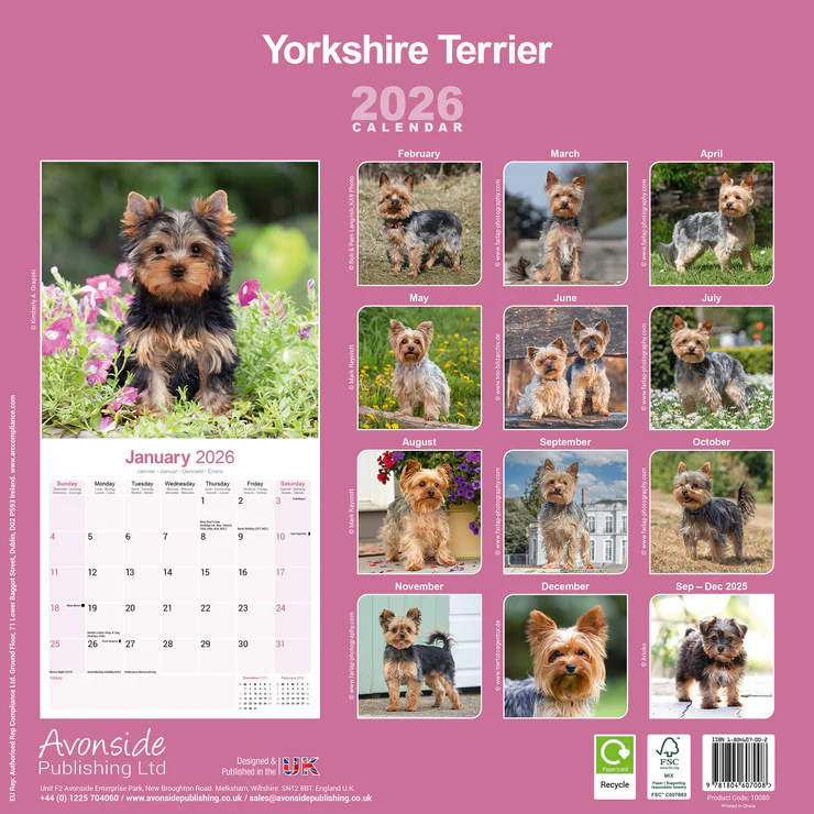 Calendar 2026 Yorkshire Terrier