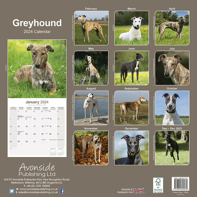 Kalender 2024 Greyhound