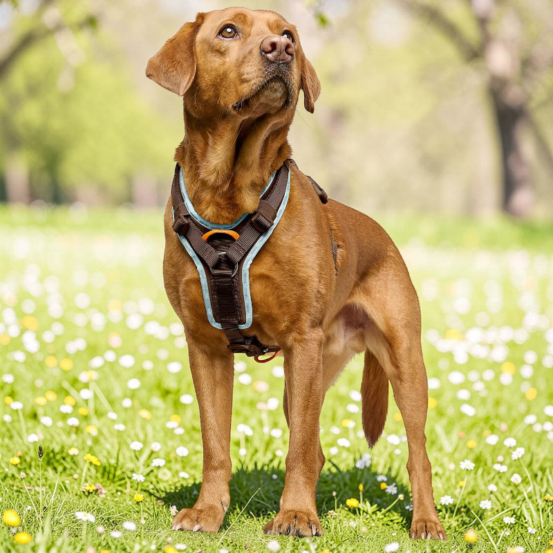 ErgoMove Pro Brown harness
